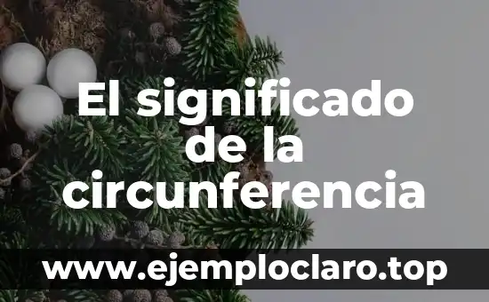 ¿Cuál es el diámetro de una circunferencia? - Concepto y Fórmula Matemática 4 El significado de la circunferencia