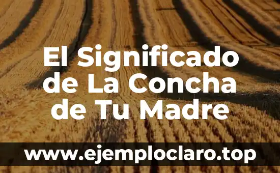 El Significado de La Concha de Tu Madre
