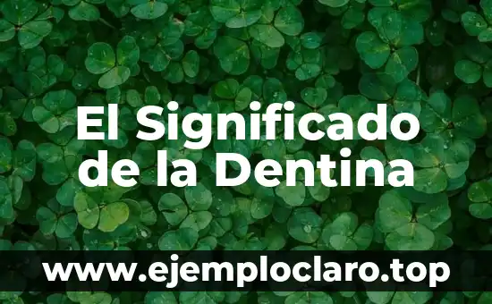 Significado de la Parte Activa de los Valores 4 El Significado de la Dentina