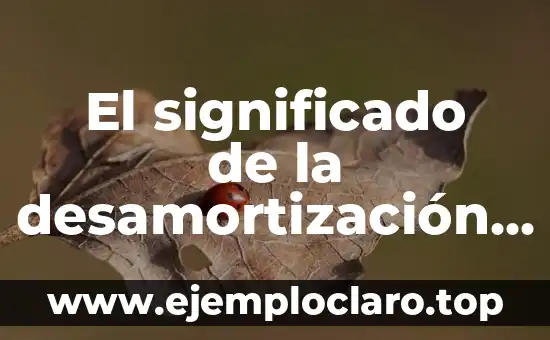 El significado de la desamortización y la Ley de Lerdo