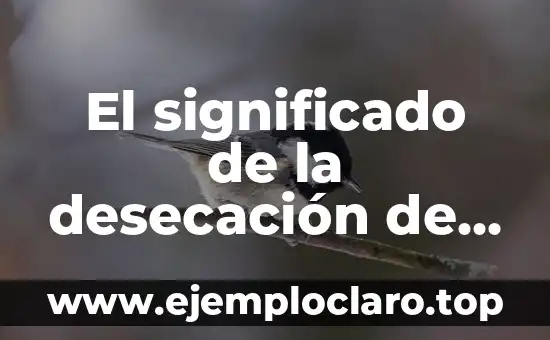El significado de la desecación de una pared