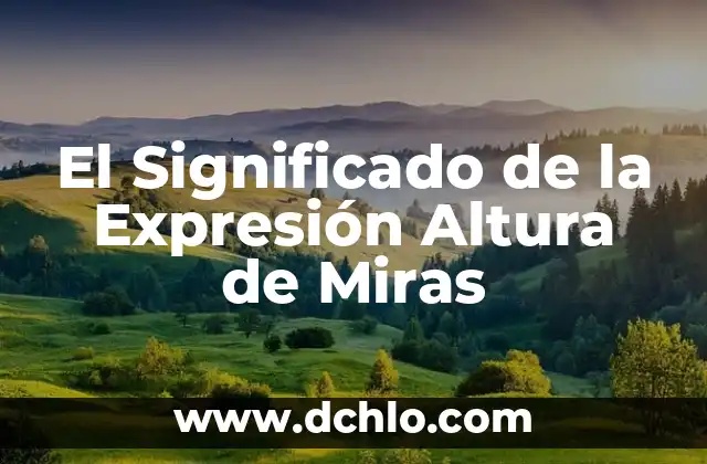 Emojis y Juegos de Personas: Un Mundo de Expresión Digital 3 El Significado de la Expresión Altura de Miras