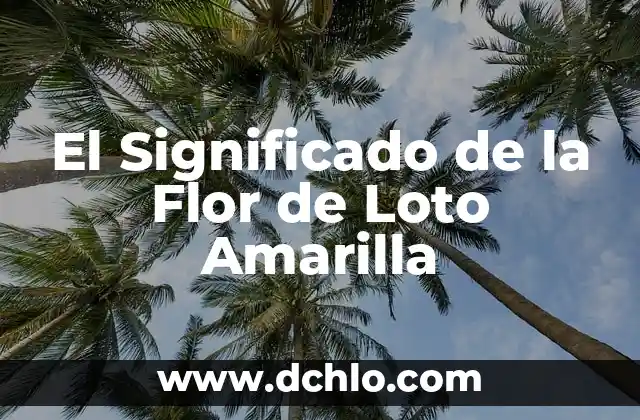 El Significado en Español de Wish 5 El Significado de la Flor de Loto Amarilla
