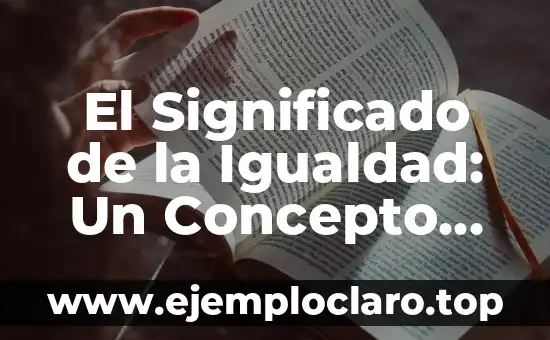 Capital Social de una Empresa - Concepto clave en Finanzas 7 El Significado de la Igualdad: Un Concepto Fundamental para una Sociedad Justa