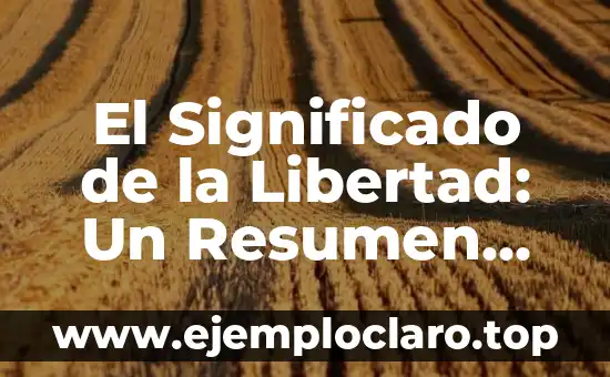 El Significado de la Libertad: Un Resumen Profundo