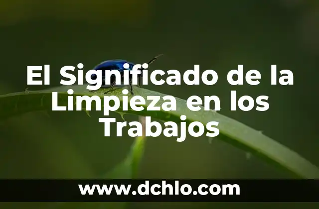Cómo hacer limpieza cafetera Nespresso 3 El Significado de la Limpieza en los Trabajos