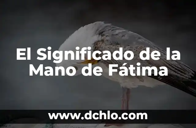 Significado de Soy: Descubre el Poder de la Soya 8 El Significado de la Mano de Fátima