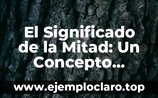 El Significado de la Mitad: Un Concepto Esencial