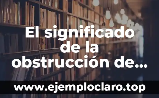 Significado de las Palabras de El Salvador: Un Viaje por su Cultura 3 El significado de la obstrucción de grasa