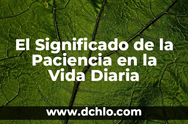 Significado de Ser una Persona Sabia 6 El Significado de la Paciencia en la Vida Diaria