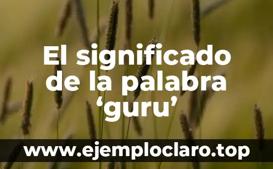 El significado de la palabra ‘guru’