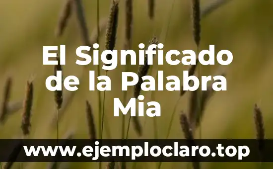 El Significado de la Palabra Mia