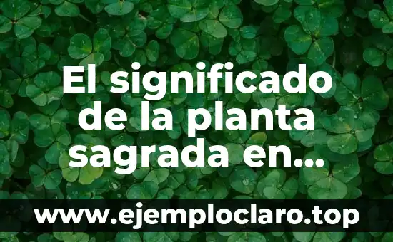 El significado de la planta sagrada en diferentes culturas