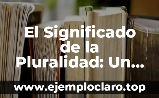 Significado del Valor de Pluralidad 6 El Significado de la Pluralidad: Un Enfoque Detallado