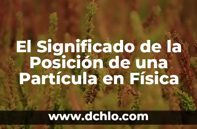 La Posición de una Espada: Un Mundo de Significados y Técnicas 4 El Significado de la Posición de una Partícula en Física