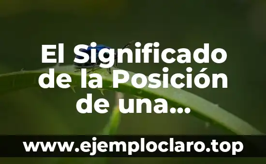 El Significado de la Posición de una Partícula en Física
