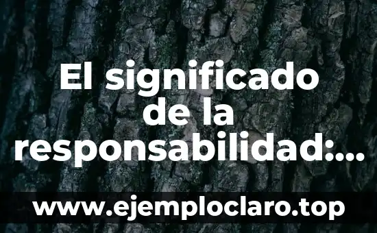 Término de Significado de Repartir: Comprensión del Concepto 8 El significado de la responsabilidad: Comprensión y relevancia