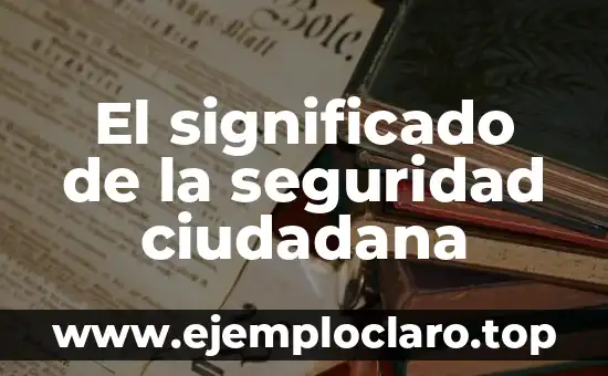 El significado de la seguridad ciudadana