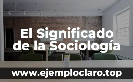 El Significado de la Sociología