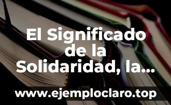 El Significado de la Solidaridad, la Misión y la Mística