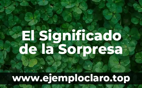 El Significado de la Sorpresa