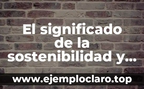 Concepto de Sostenibilidad y su Significado 4 El significado de la sostenibilidad y su importancia en el mundo actual