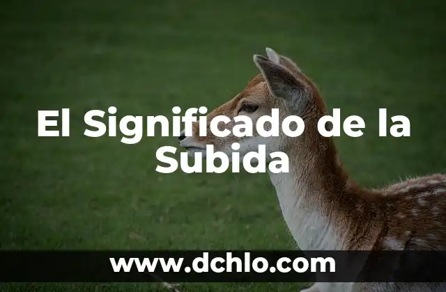 Significado de Subito: Orígenes, Usos y Curiosidades 3 El Significado de la Subida