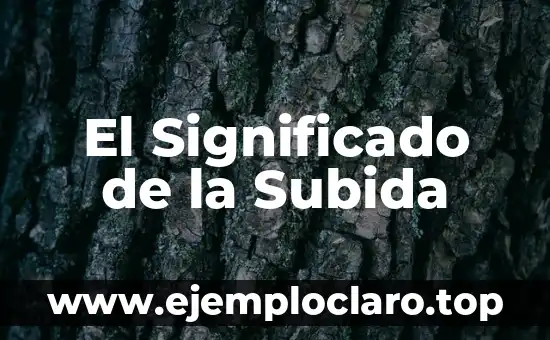 El Significado de la Subida