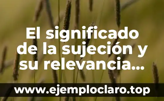 El significado de la sujeción y su relevancia en diferentes contextos
