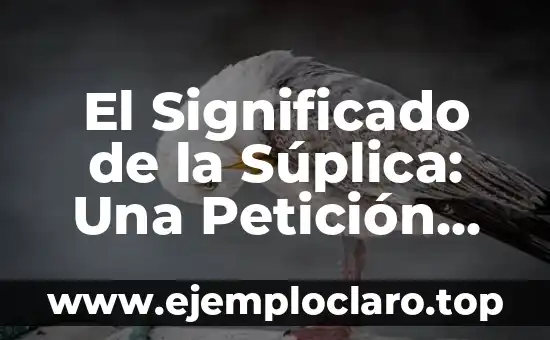 El Significado de la Súplica: Una Petición con Profundidad