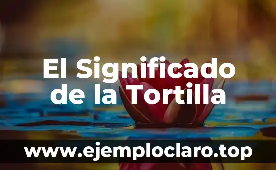 Como Hacer la Tortilla de Papa 6 El Significado de la Tortilla