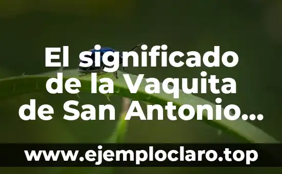 El significado de la Vaquita de San Antonio Dorada