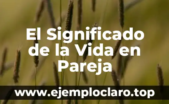 El Significado de la Vida en Pareja