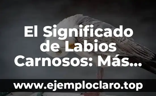 Cómo Curar una Herida en los Labios Genitales de Forma Natural y Segura 3 El Significado de Labios Carnosos: Más que un Atributo Físico