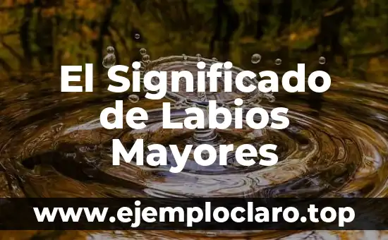 Cómo Curar una Herida en los Labios Genitales de Forma Natural y Segura 4 El Significado de Labios Mayores