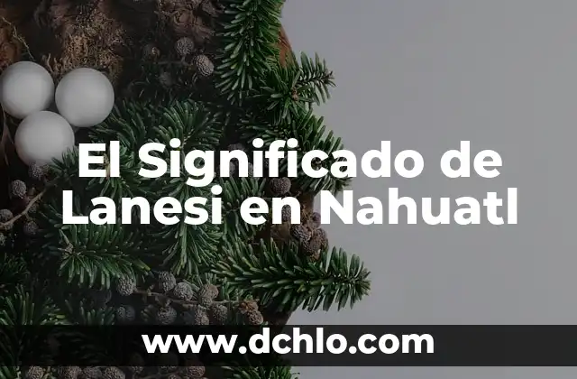 Estilo de Arte Churrigueresco Significado 3 El Significado de Lanesi en Nahuatl