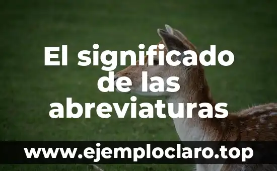 Significado de Suplir 7 El significado de las abreviaturas