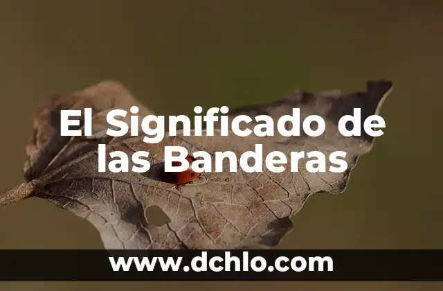 Banderas de Venustiano Carranza México 6 El Significado de las Banderas