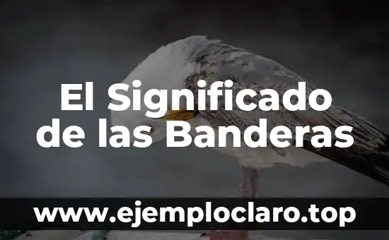 El Significado de las Banderas