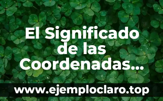 El Significado de las Coordenadas Matemáticas
