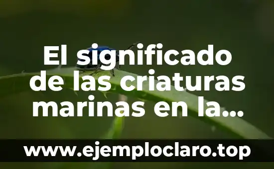 Significado de la Palabra Pokémon: Un Viaje al Mundo de las Criaturas Mágicas 4 El significado de las criaturas marinas en la Biblia