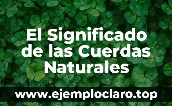 Las Cuerdas Vocales: Definición y Función 8 El Significado de las Cuerdas Naturales