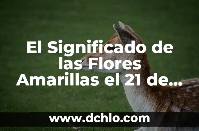 Significado del Color de las Flores Iris 8 El Significado de las Flores Amarillas el 21 de Marzo: Descubre el Simbolismo detrás de esta Fecha Especial