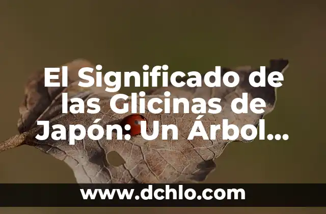 Los Anillos de Compromiso en Japón: Un Símbolo de Amor y Tradición 3 El Significado de las Glicinas de Japón: Un Árbol con Historia