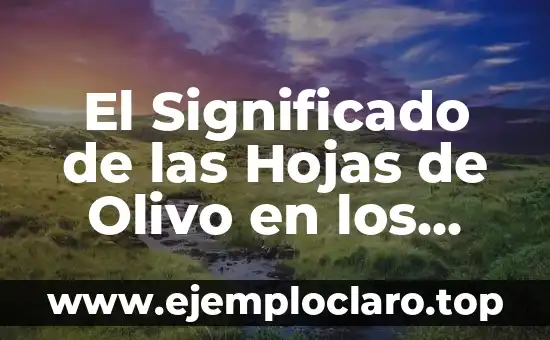 El Significado Holístico de la Alergia 5 El Significado de las Hojas de Olivo en los Escudos