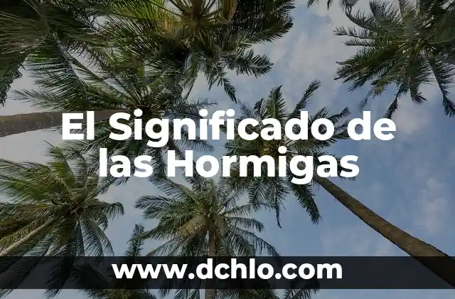 Significado de Hormigas Rojas 3 El Significado de las Hormigas