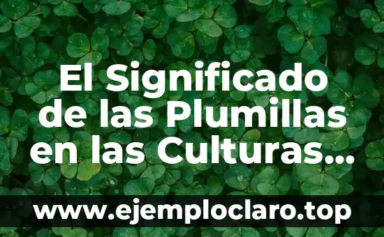 El Significado de las Plumillas en las Culturas Indígenas