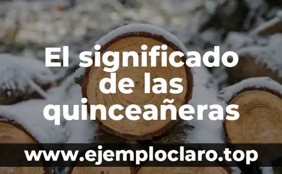 Teoría de la Sustentabilidad Significado 5 El significado de las quinceañeras