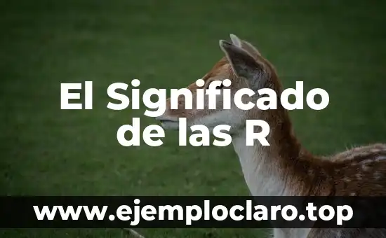 Teoría de la Sustentabilidad Significado 6 El Significado de las R