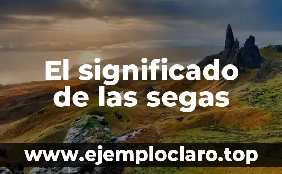 Teoría de la Sustentabilidad Significado 3 El significado de las segas